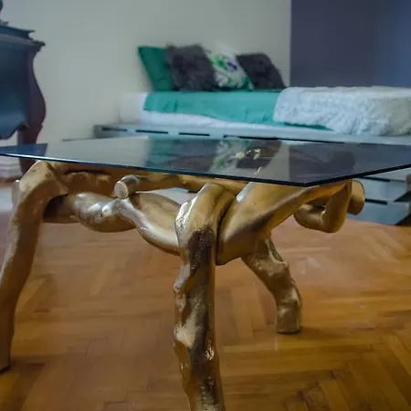 Chic Apartment Timisoara