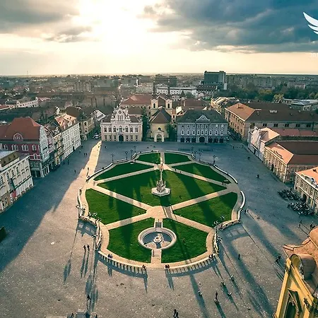 Chic * Timisoara